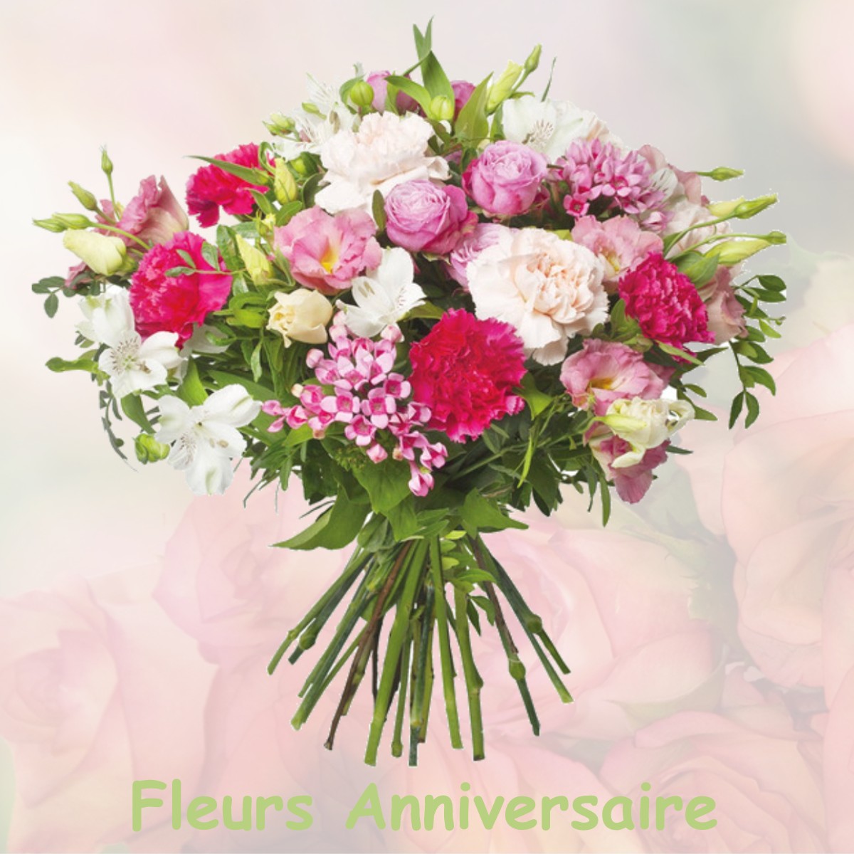 fleurs anniversaire PLESSIS-SAINT-JEAN
